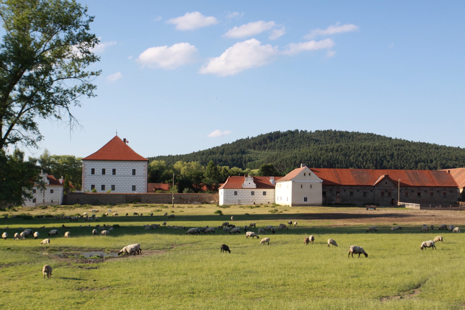 Tvrz Vodní tvrz Křepenice Jakuba Krčína z Jelčan | Kam se vydat.cz
