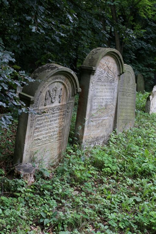 Židovský hřbitov Luže