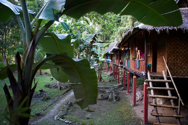 Nuts Huts