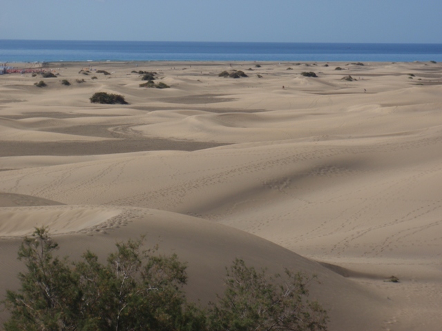 Dunas Las Maspalomas Dunas Las Maspalomas