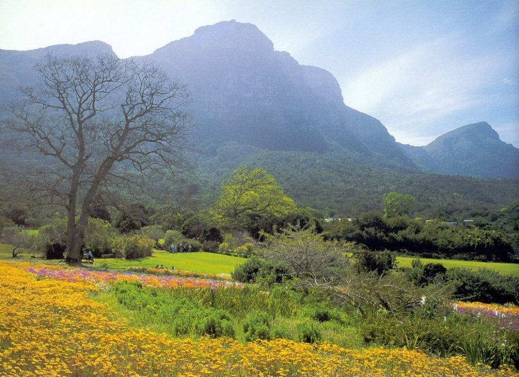 Kirstenbosch National Botanical Garden 