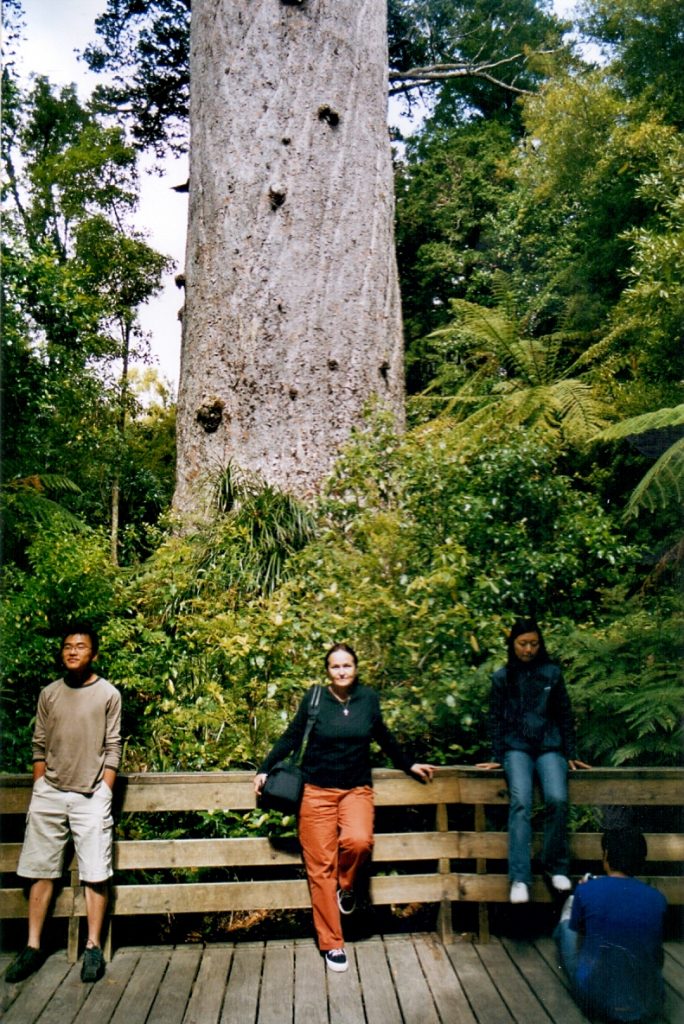 Tane Mahuta,Král lesů