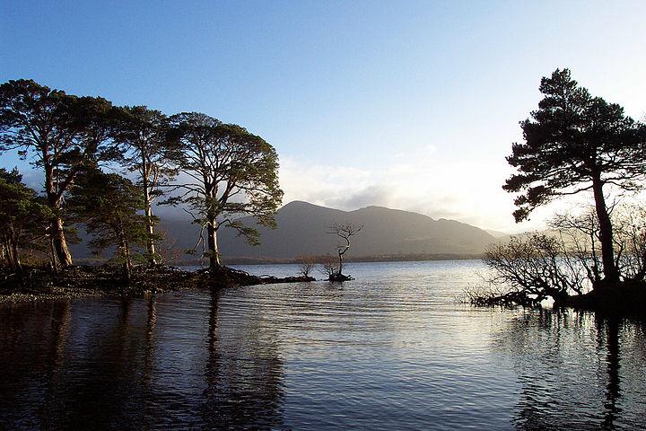 Killarney park