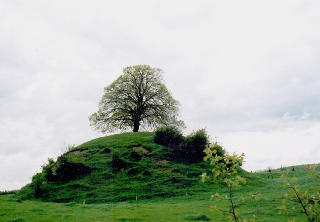 fairy tree