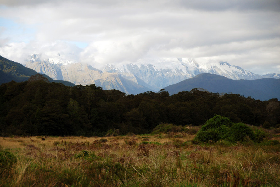 Haast valley