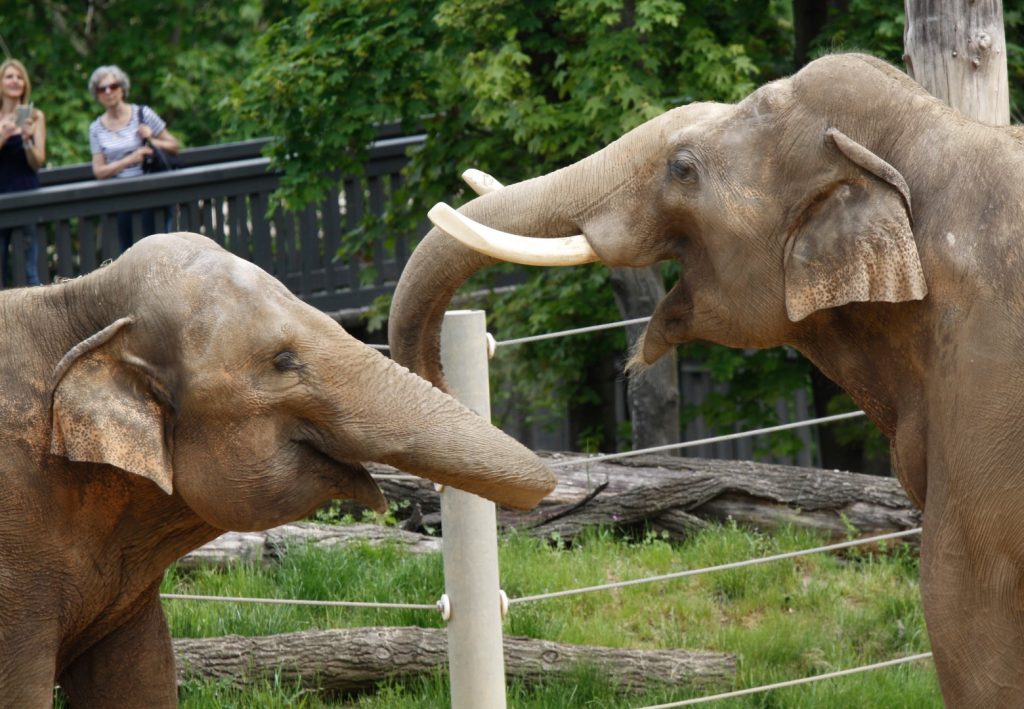 ZOO PRAHA