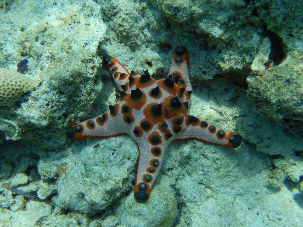 Tun Sakaran Marine Park