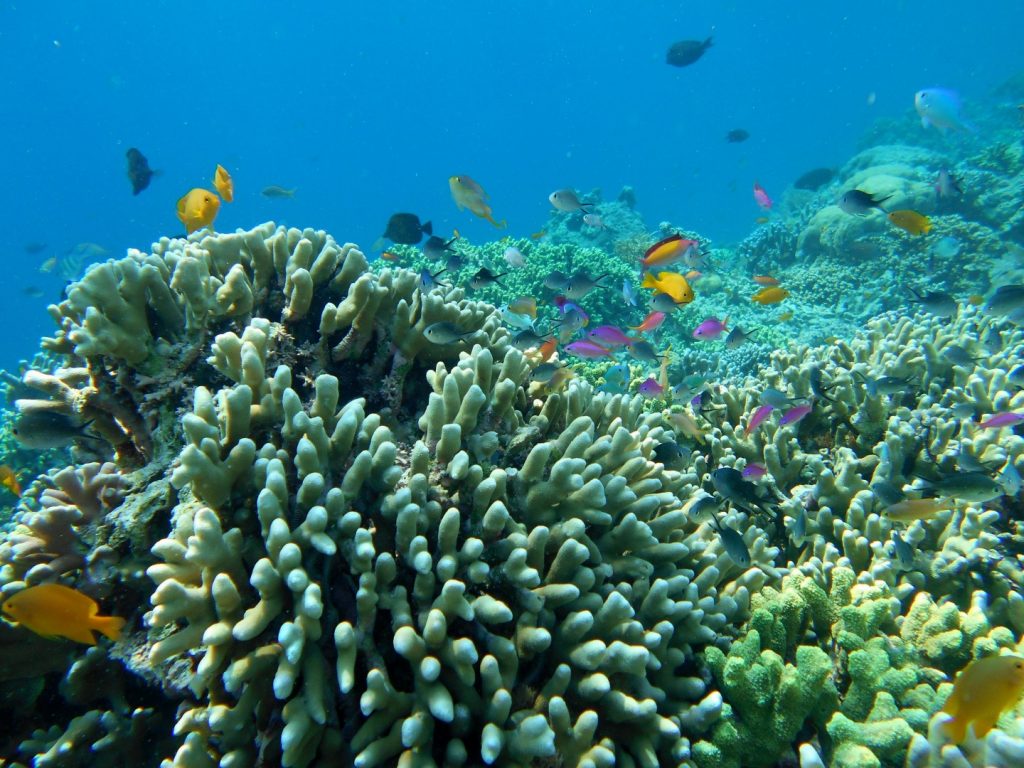 Tun Sakaran Marine Park