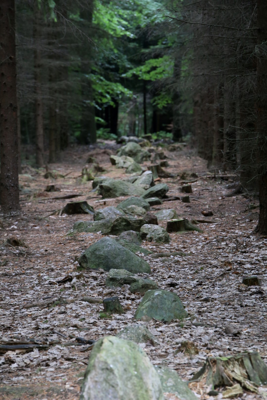 Kounovské kamenné řady