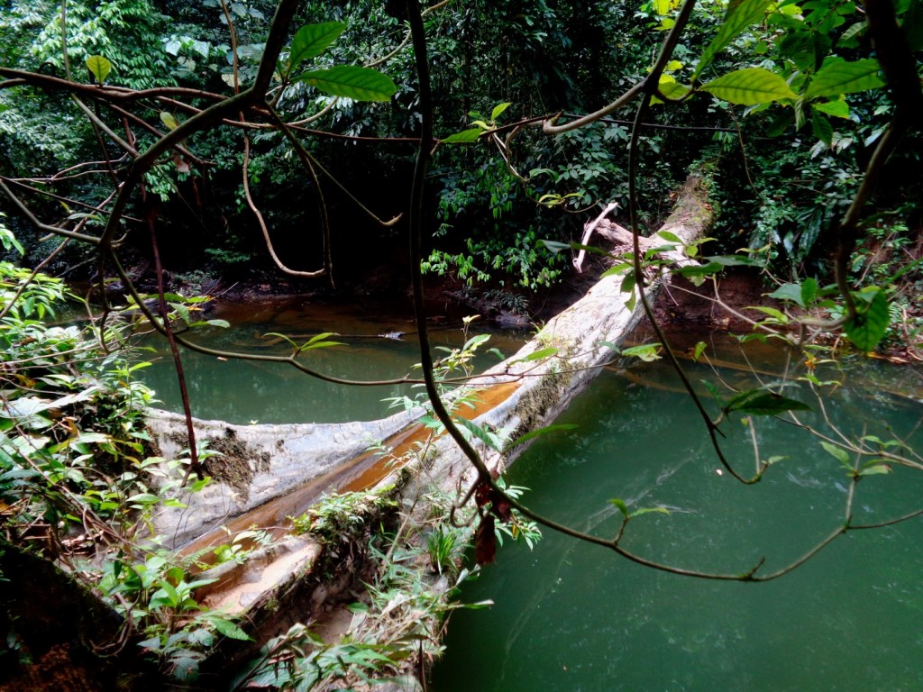 ještě Pako Waterfakll Loop