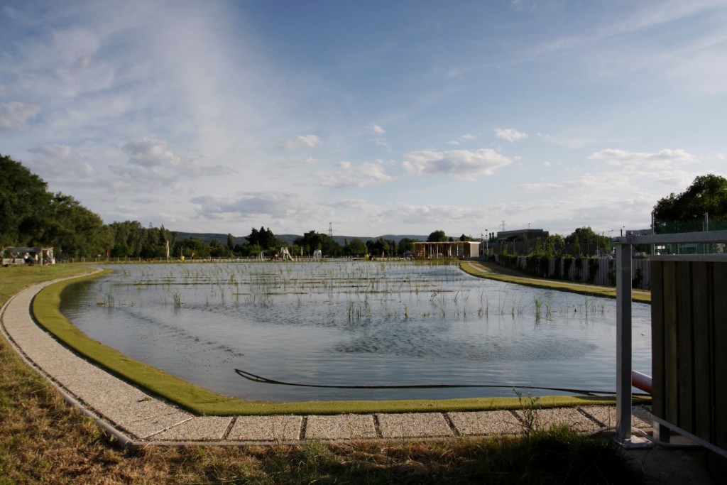 Biotop Radotín - rostlinná čistící zóna