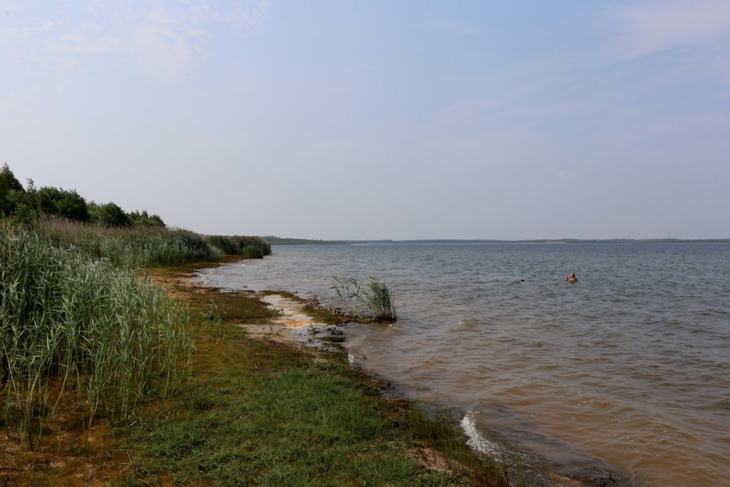 Bärwalder See - vstup přes rákosí