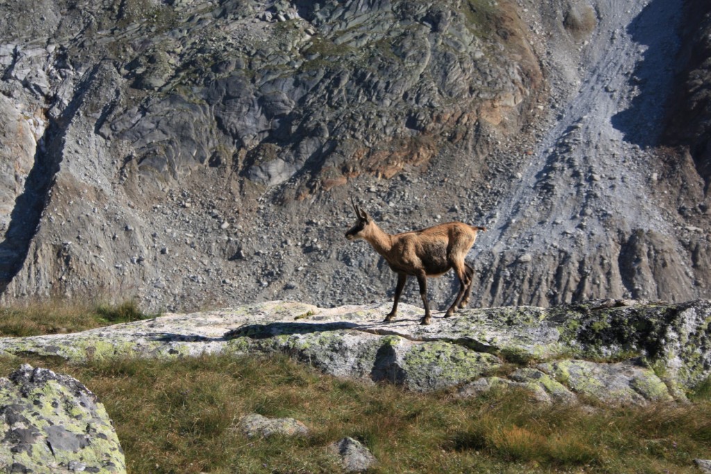 cesta na Lauteraarhutte (20)