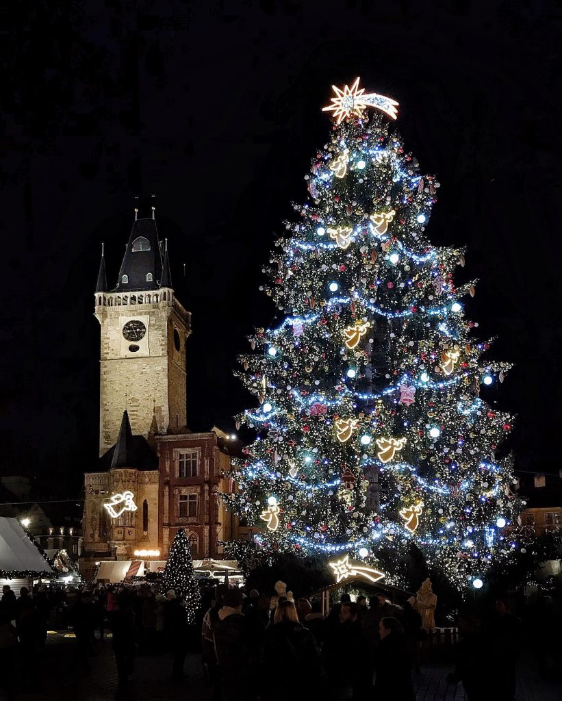 Vánoční strom Praha - foto Petr Jansa