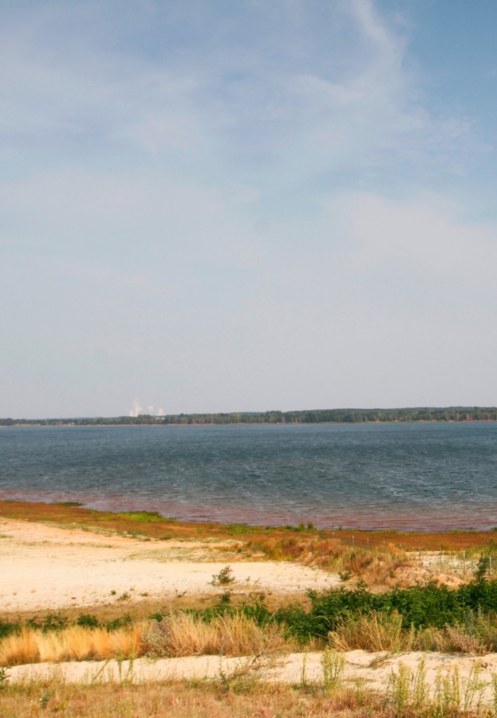 Dreiweiberner See - jižní strana