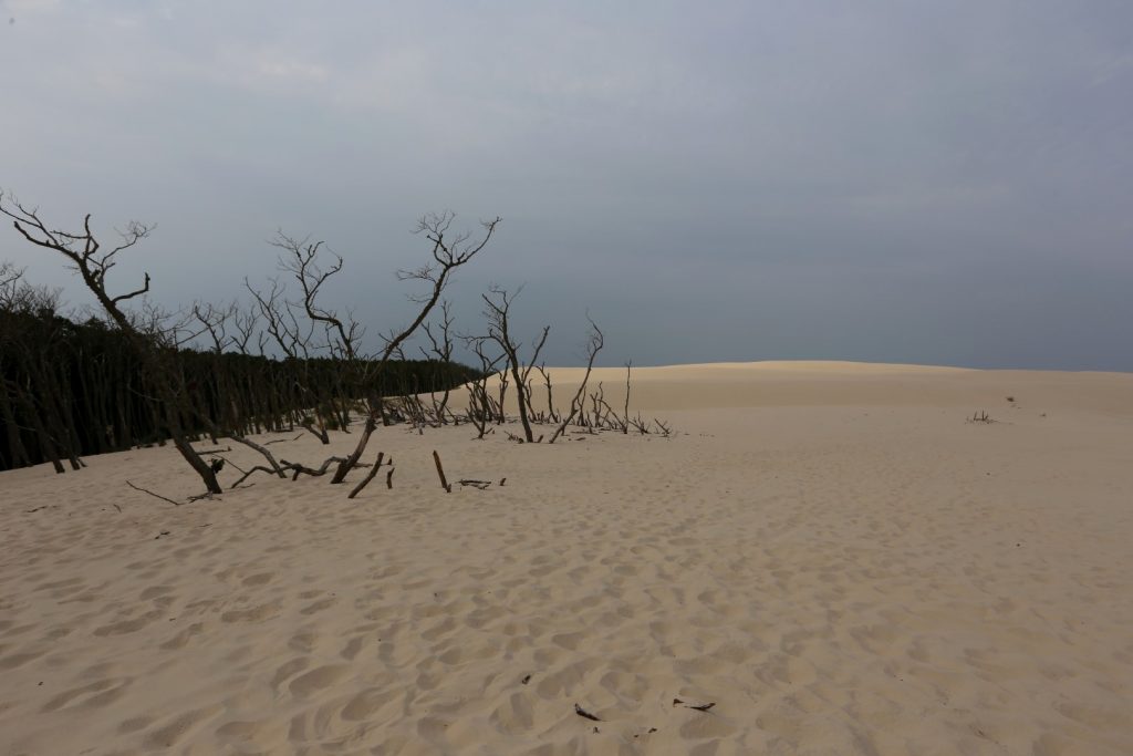 Písečné duny - Slowinský NP