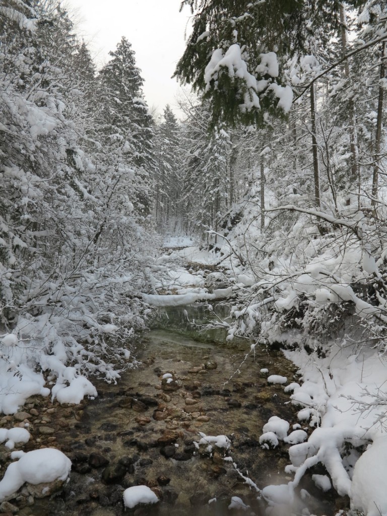 Kalkalpen Rakousko (11)