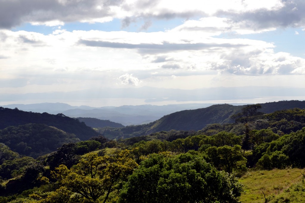 Oblast Monteverde