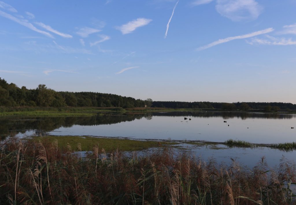 Ptačí jezero u Förstgen 