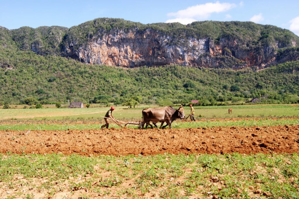 Údolí Viñales 