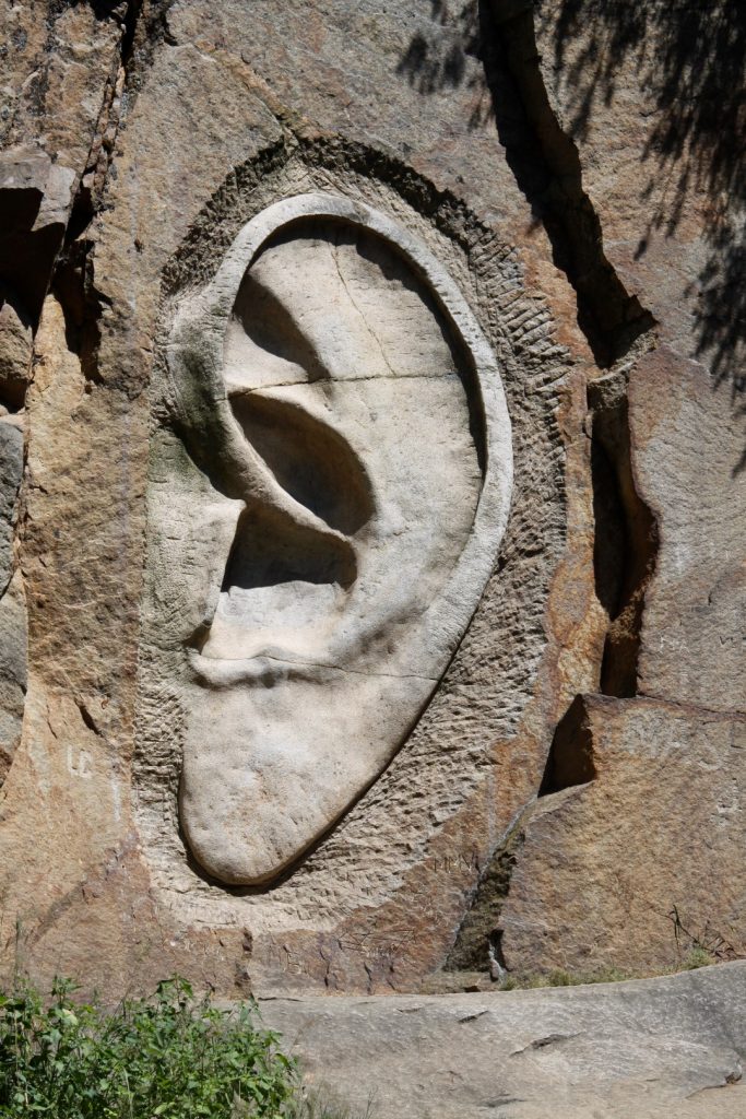 Bretschneiderovo ucho