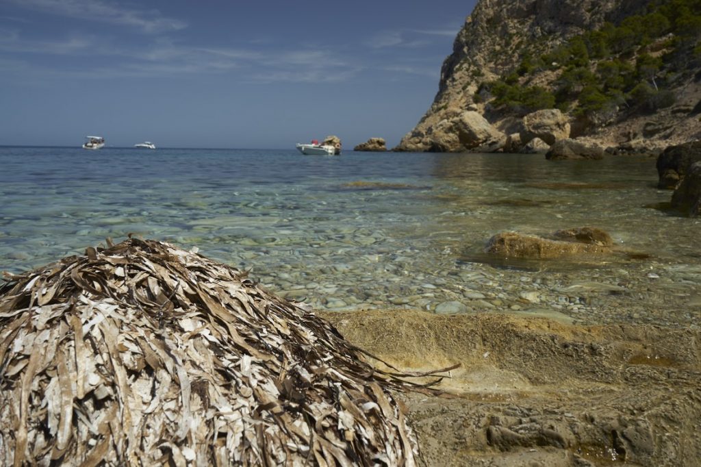 Mallorca