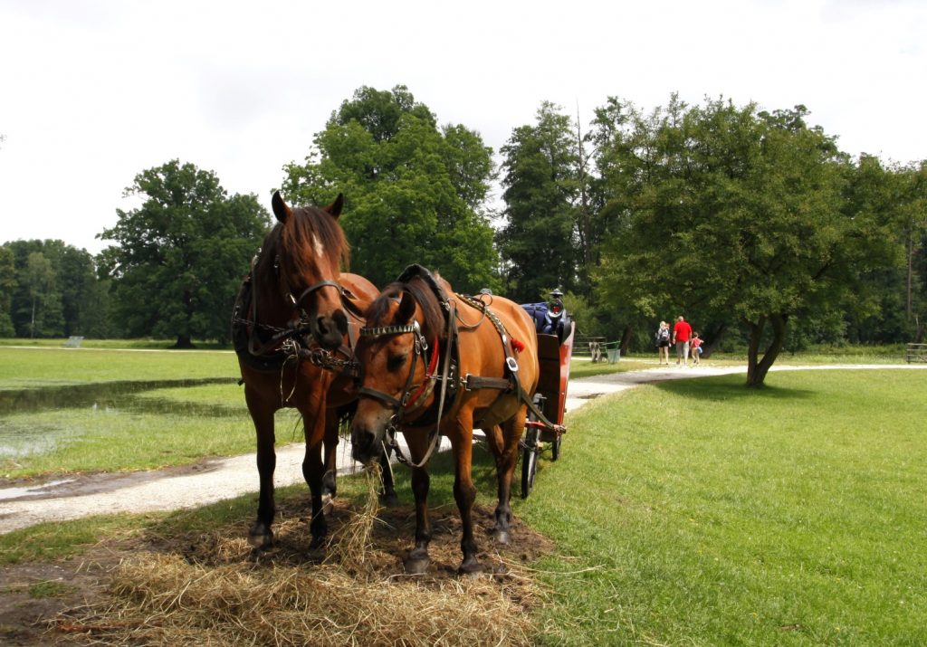 zámecký park Blatná