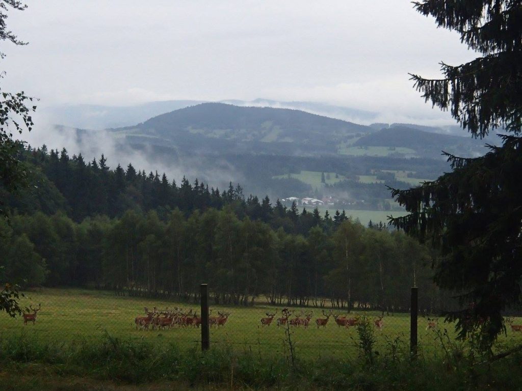 Šumava