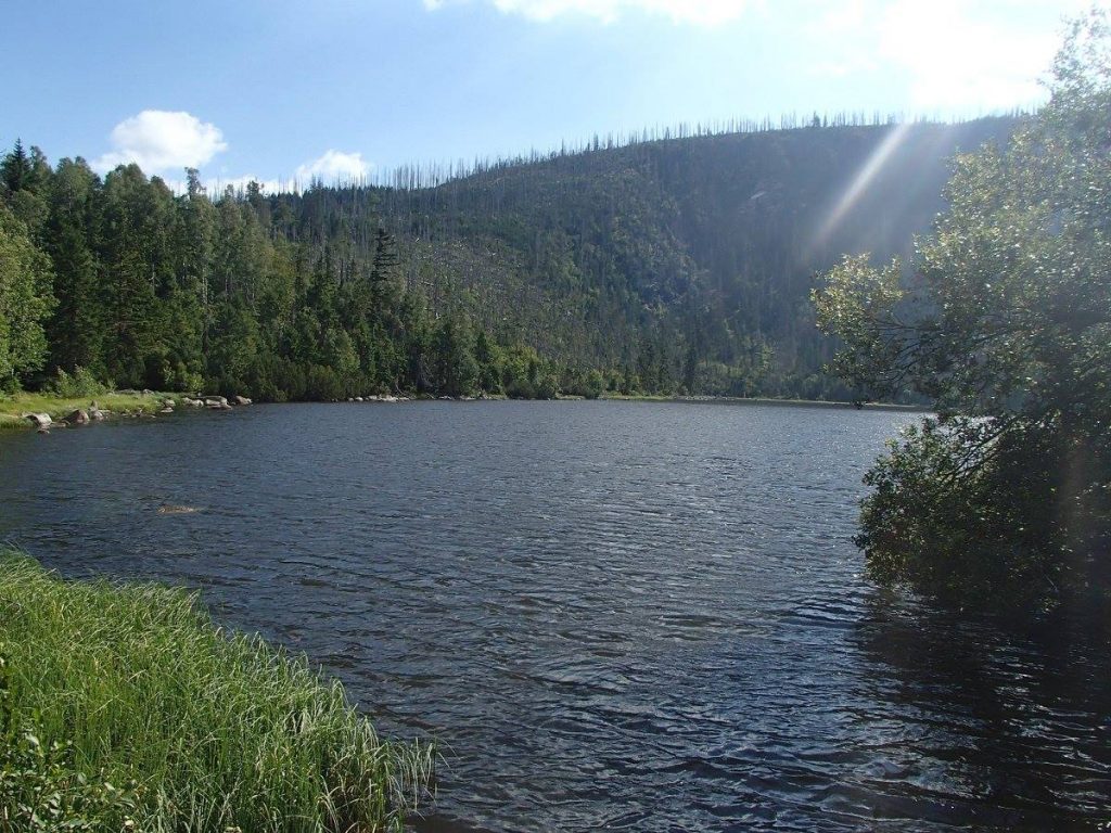 Plešné jezero