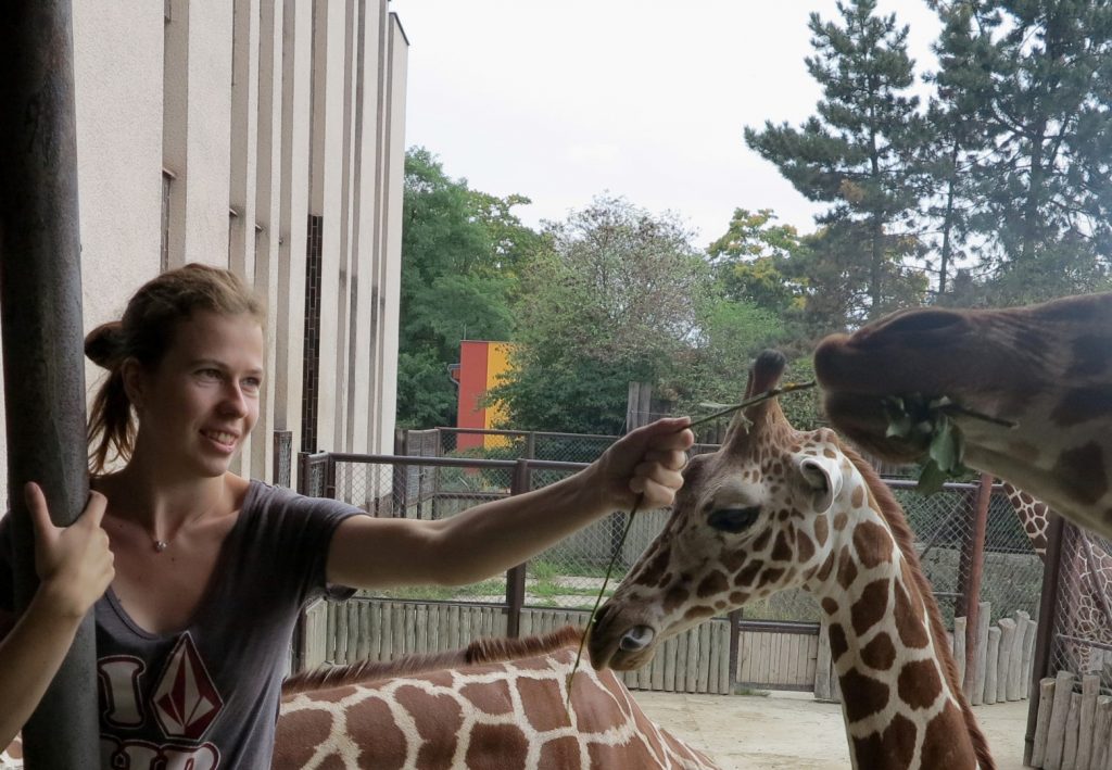 já na praxi ZOO Dvůr Králové