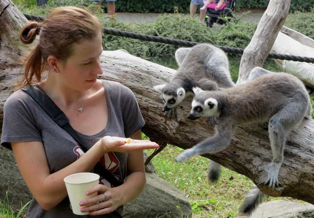 já na praxi ZOO Dvůr Králové