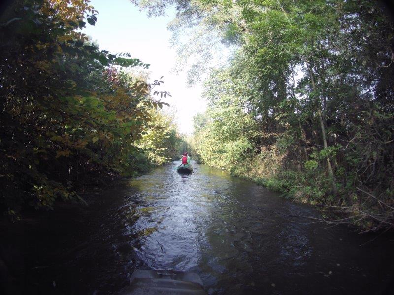 Botičská idylka