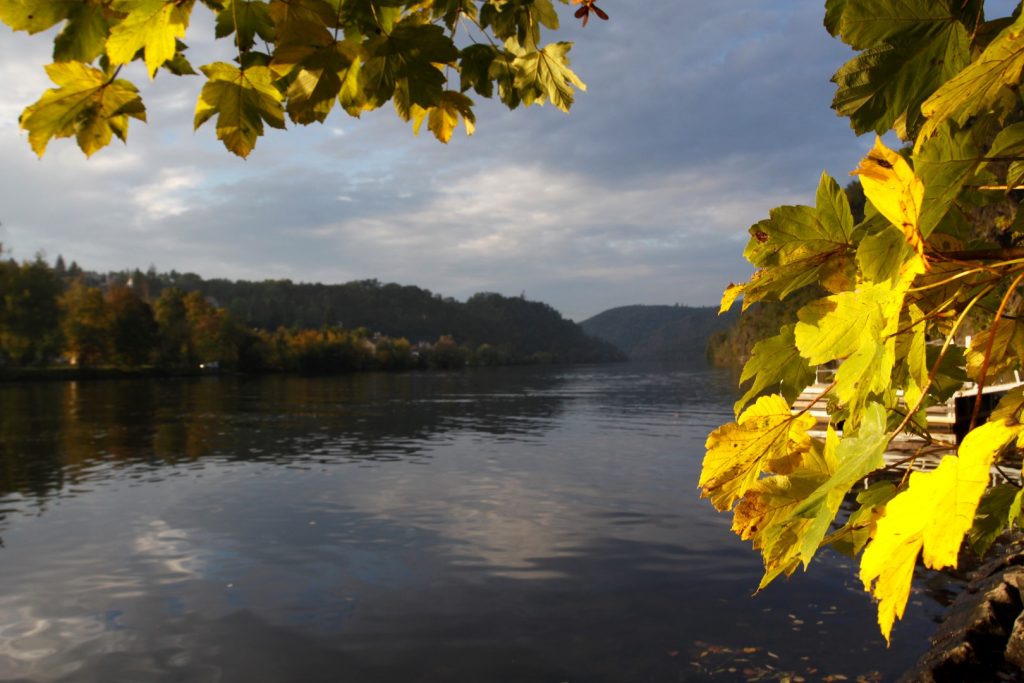 Vltava v Davli