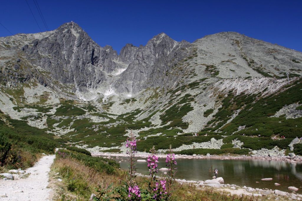 Skalnaté pleso