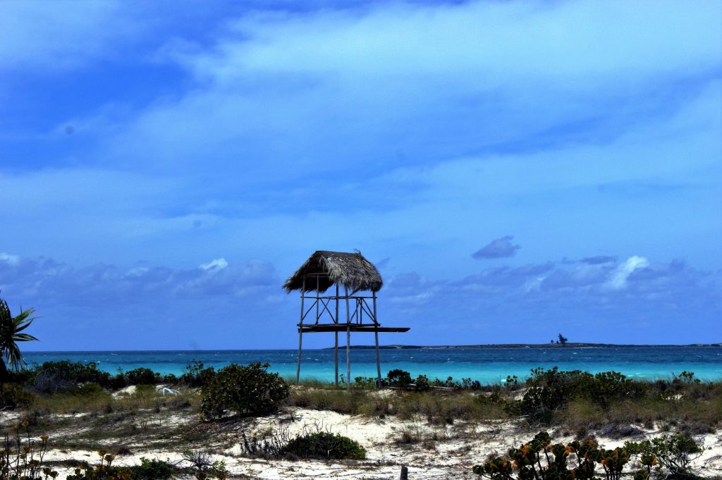 cesta lesem na Playa las Gaviotas 