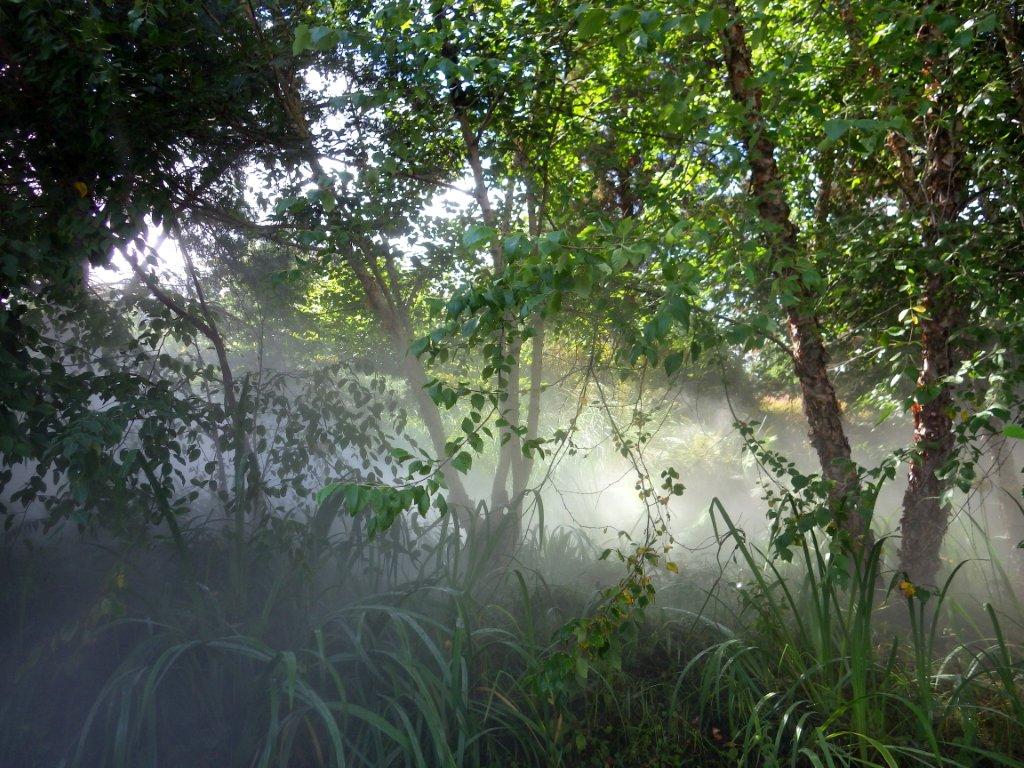 Terra Botanica