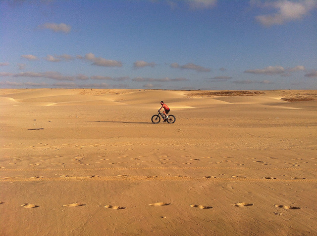 Trekking bike