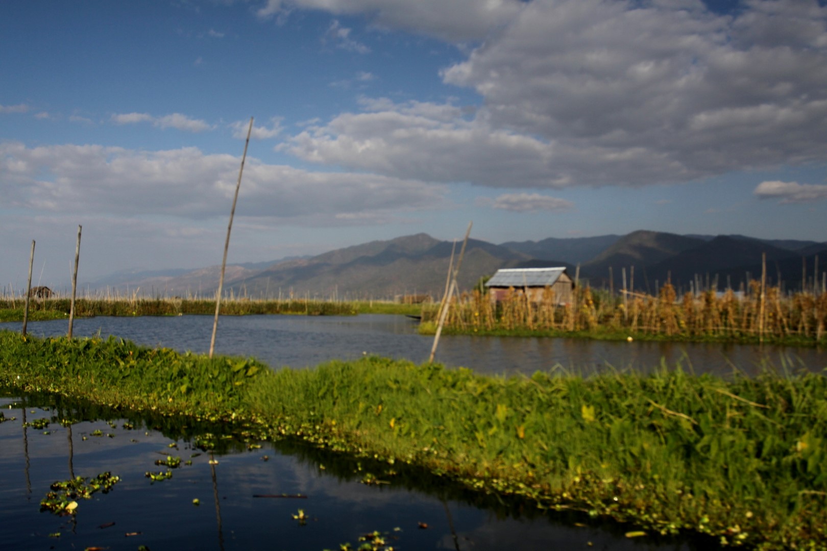 Plovoucí zahrady Inle Lake