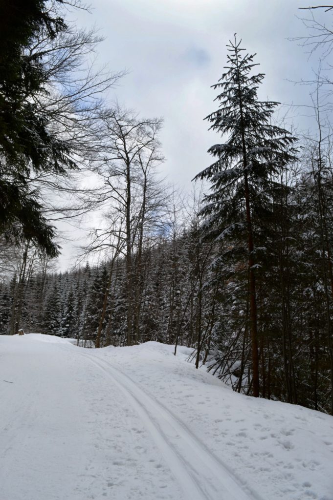 Krkonošská magistrála