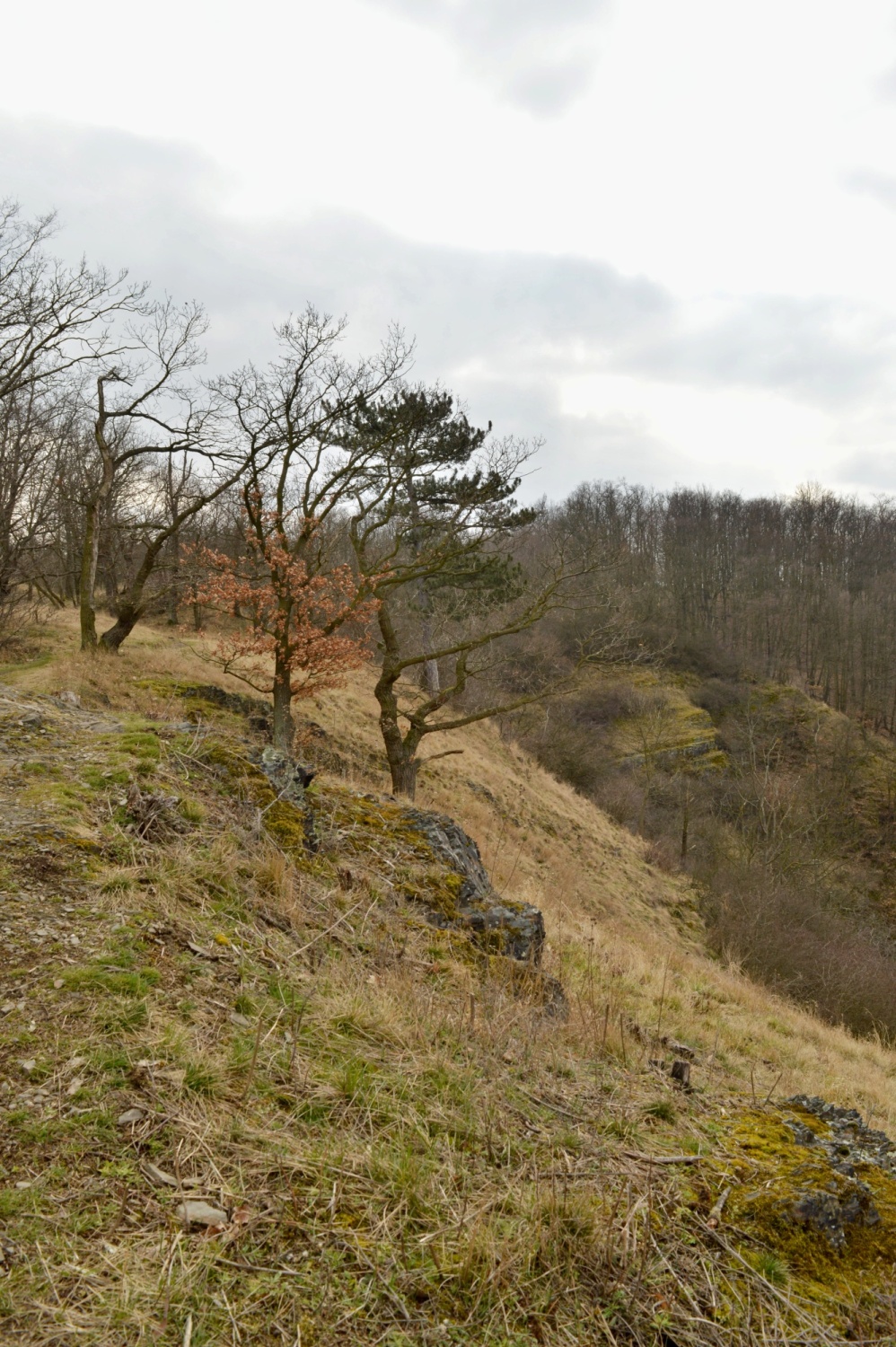 Vrané nad Vltavou | Kam se vydat.cz