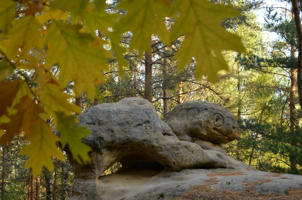 Borecké skály