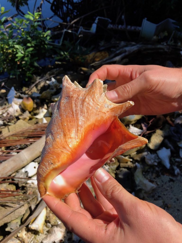 Tobacco Caye