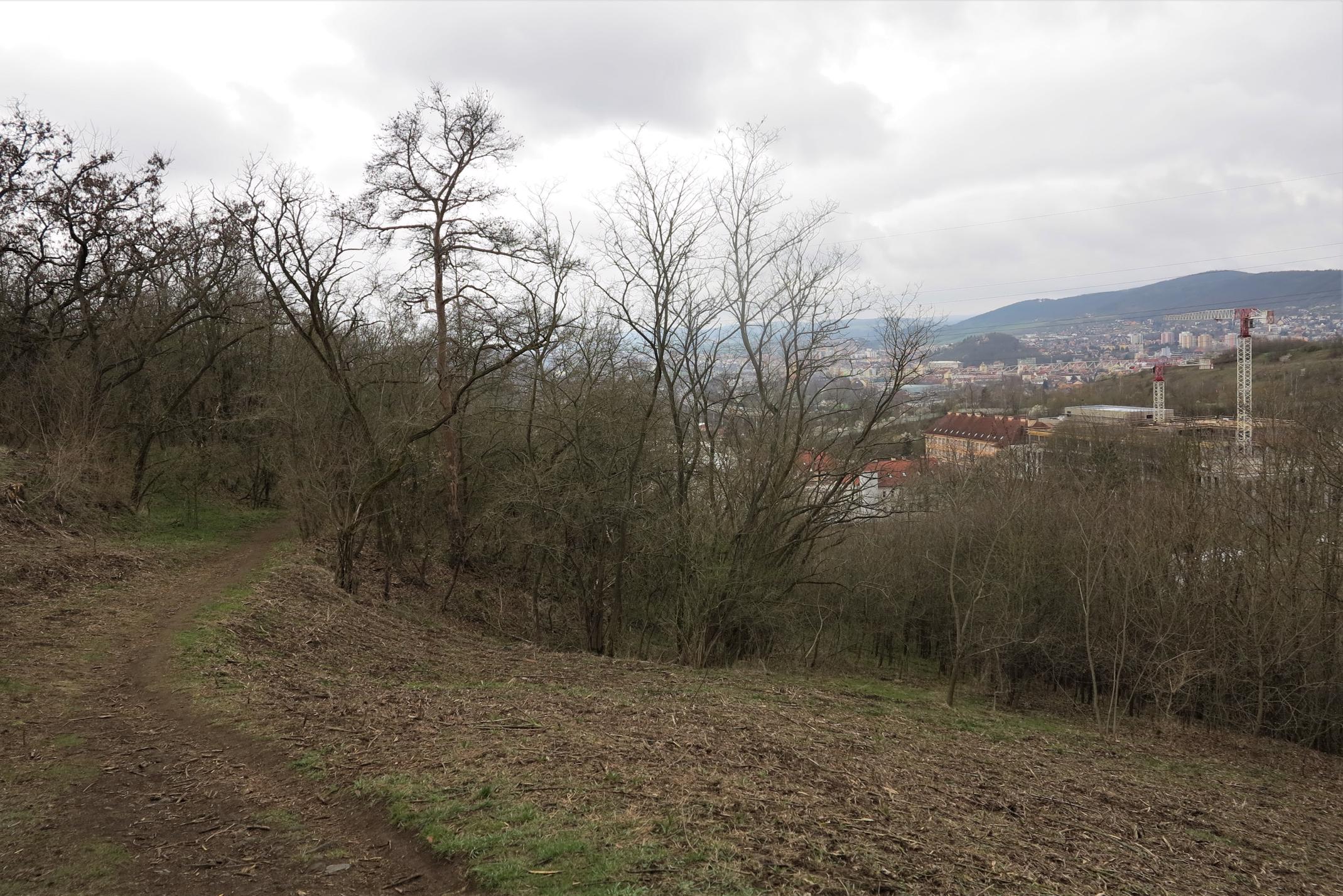 seznamka vsetinsko Beroun